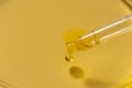 We Announced That CBD Can Finally Be Sold for Internal Use in Finland. It Was an April Fool's Joke